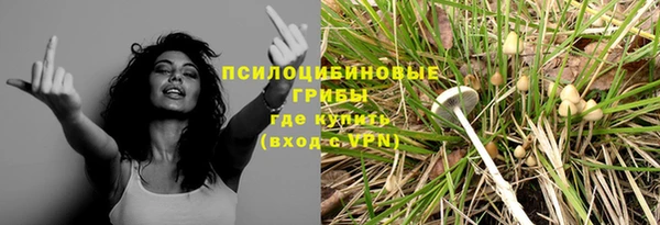 a pvp Арсеньев