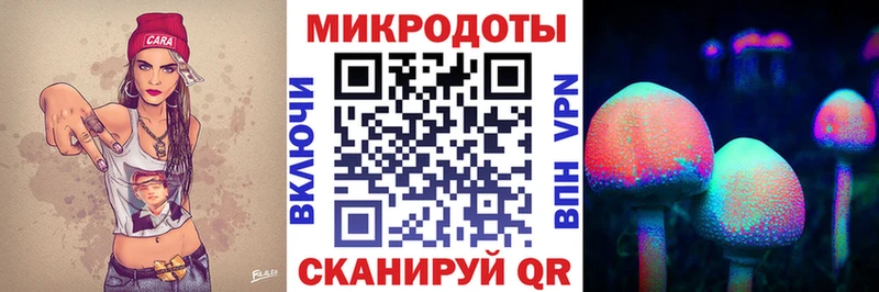 Псилоцибиновые грибы Psilocybe  Усть-Лабинск 