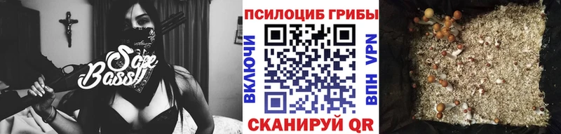 Галлюциногенные грибы мицелий Усть-Лабинск